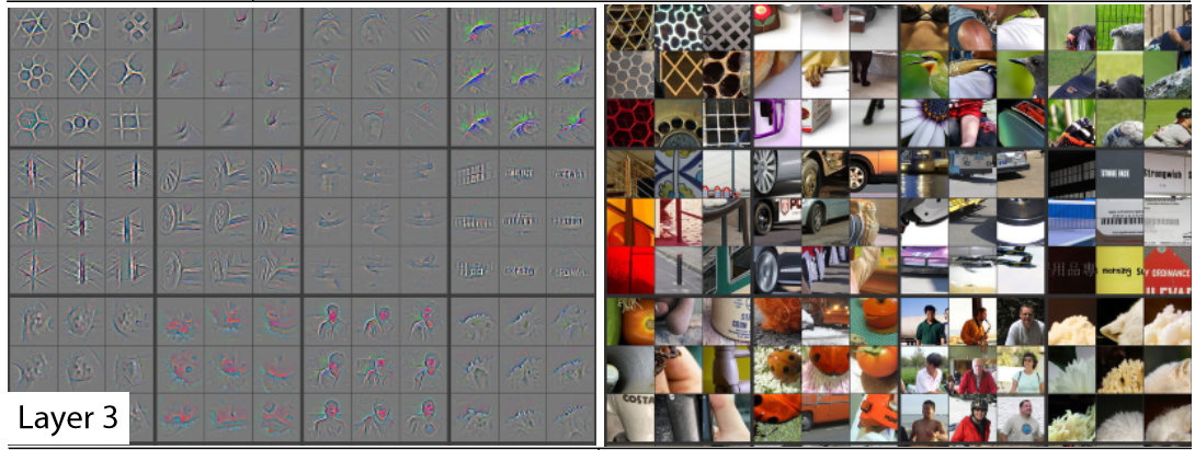 Activations of the third layer of a CNN